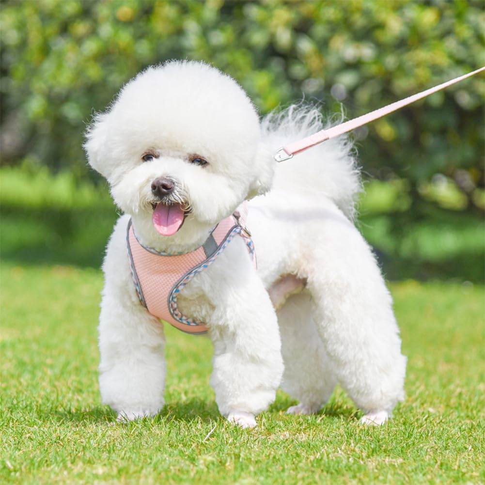 KUVEELA PET Small Dog Cat Medium Dog Harness Lead Set with Traction Rope Bib Belt Dog Wear with Reflective Strips Mesh Stylish Adjustable Walking Easy