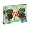 Clementoni Compact 1000 Pieces - Three Labs