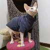 Hairless Cat Clothes Sphinx Warm Bottoming Sweater Devon Koenigs Curly Autumn and Winter Clothes