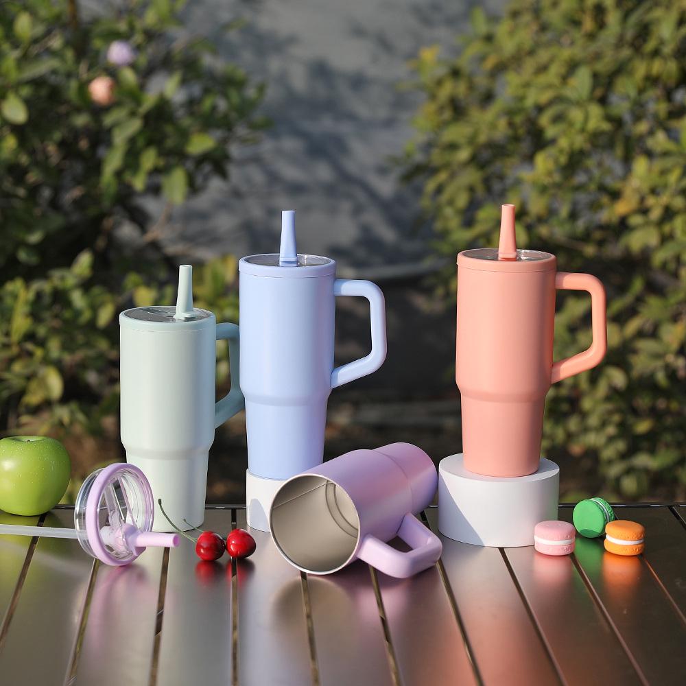 Popular 710ml Insulated Stainless Steel Water Bottle with Straw Lid & Handle