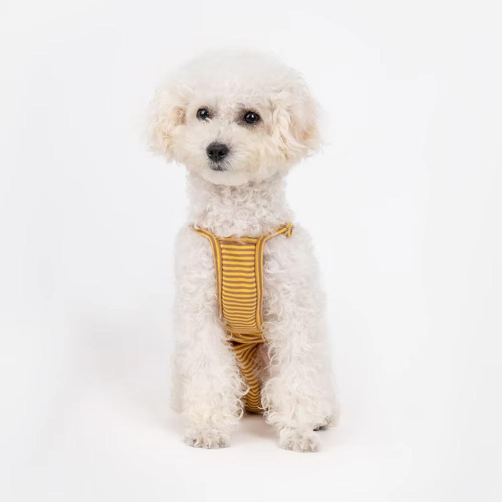 Hündin Hygienehose Haustier Jumpsuit Katze Hund Shorts Windeln für Welpen