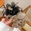 Elegant Women's Mesh Scrunchie Hair Tie - Luxurious High-End Hair Accessory