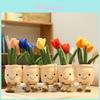 Adorable Tulip Succulent Plush Doll For Kids And Adults Unique And Lovely Design