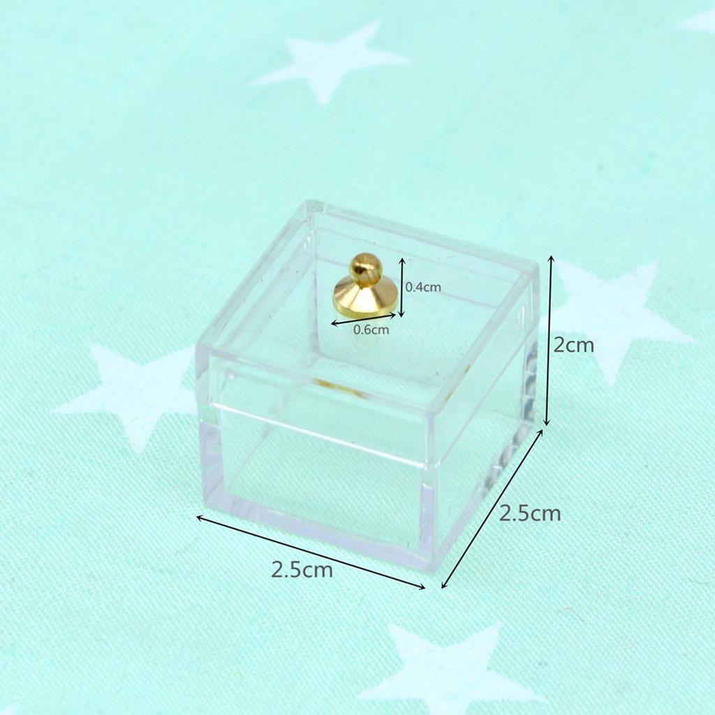 Miniature Doll Display Case Party Accessories Toys Model for Furnishings