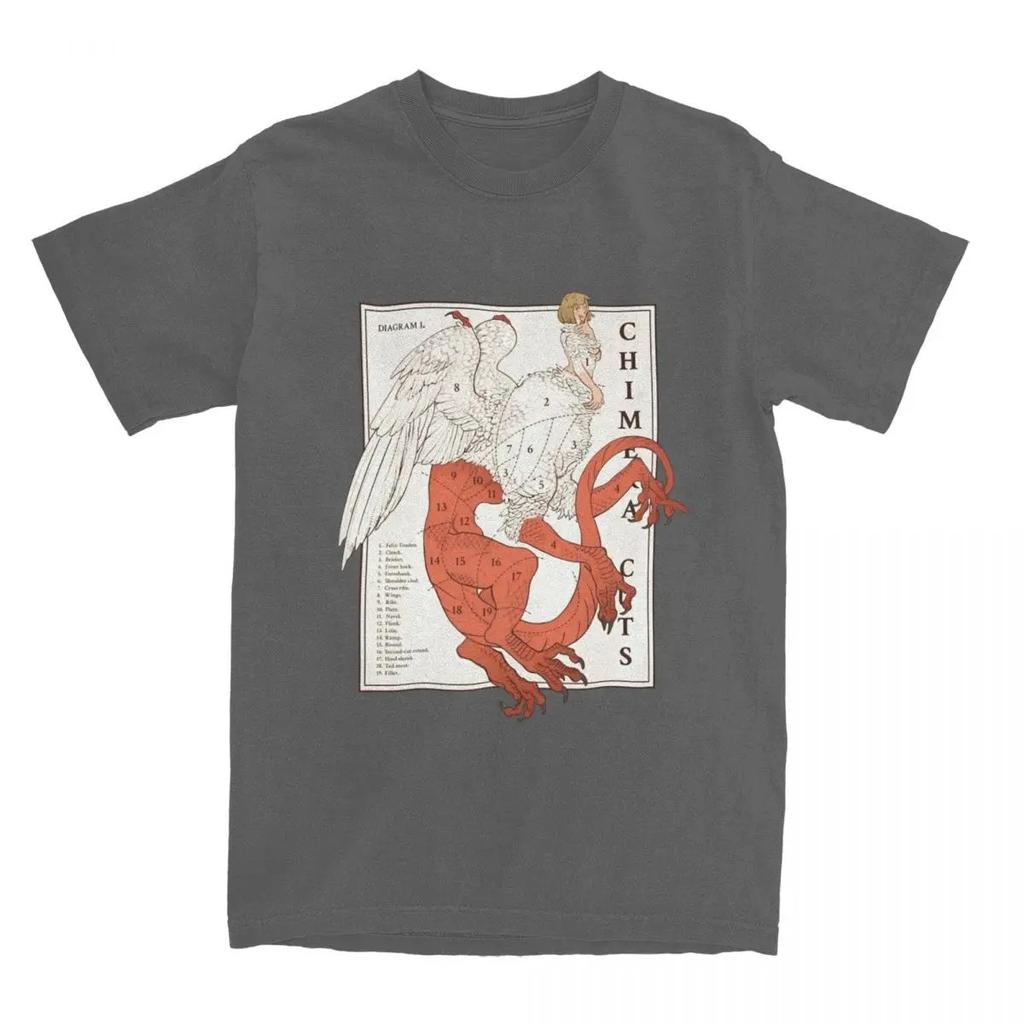 Pánské tričko Delicious In Dungeon Meshi Laios Touden Trička Hip Hop Falin Chimera Cuts Trička Ležérní Krátký Rukáv Plus Size Volné