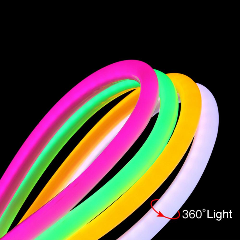 Round LED Flexible Strip Light 220V SMD 2835 RGB LED Neon Light flex tube 120led IP68 Waterproof rope string lamp EU Power plug