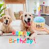 8Inch Dog Birthday Cake Plush Toy with Squeaker Blue Pink Cupcake Design Perfect Gift for MediumLargeSmall Dogs Puppies Durable Chew Toy