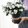 9 Head Korean Style Artificial Small Daisy Rural Home Decoration Outdoor Decoration Small Handle Bouquet Chrysanthemum