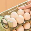 Flippable Egg Tray Placstic Refrigerator Egg Storage Box New Egg Dispenser  for Kitchen Storage