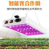 5000W Quantum Board LED Grow Light Phyto Lamp Full Spectrum LED Plants Bulb Indoor 4000W Phytolamp For Flower Seedling