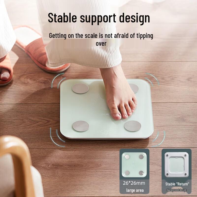 Little Bear Smart Body Fat Scale (CN Version)