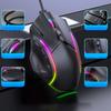 RGB Gaming 12800 DPI Wired Gaming 12 Macro Buttons 6 DPI Ergonomic Mouse for Computer Replacement Accessory Mouse, Mouse, & Levels, Gaming,