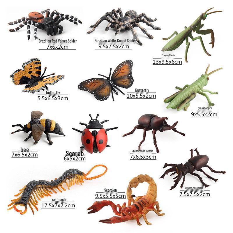 Cross-Border Children's Cognitive Insect Model Toy Set
