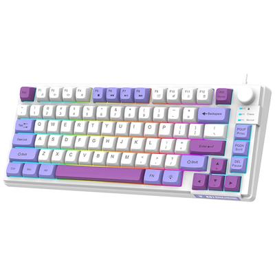 Gaming Keyboard Colourful Backlit 81-Key with Three-Color Matching Keycaps MDA Height Ball Cap