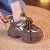 Dad Shoes Small Thick-soled Heightening Women's Shoes Autumn New Sports and Leisure Shoes Muffin Shoes
