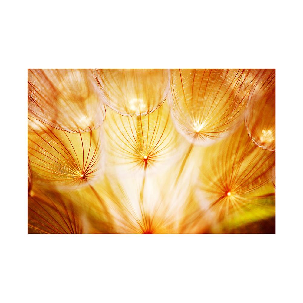 Romantic Dandelion Background Tapestry for Events,Party Banner,Home Decor,Weddings,Photo Booths