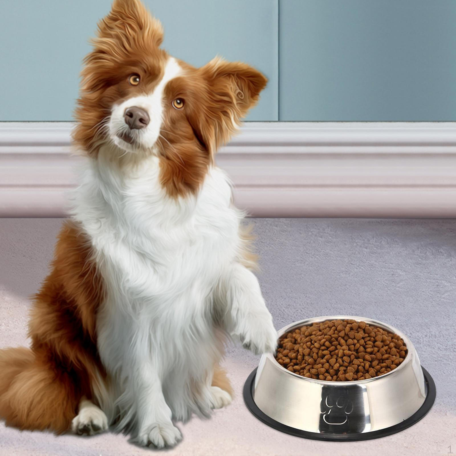 Durable Stainless Steel Pet Food and Water Bowl Set 18cm