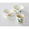 Modern House Porcelain Air + Bowl + Mug Set, Dino World, 1 Set, Popular Korean Parenting Items