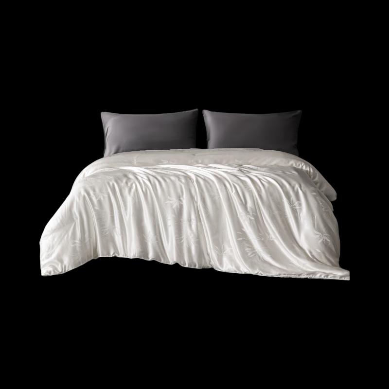 SILKUEEN All-Season Long Filament Mulberry Silk Quilt