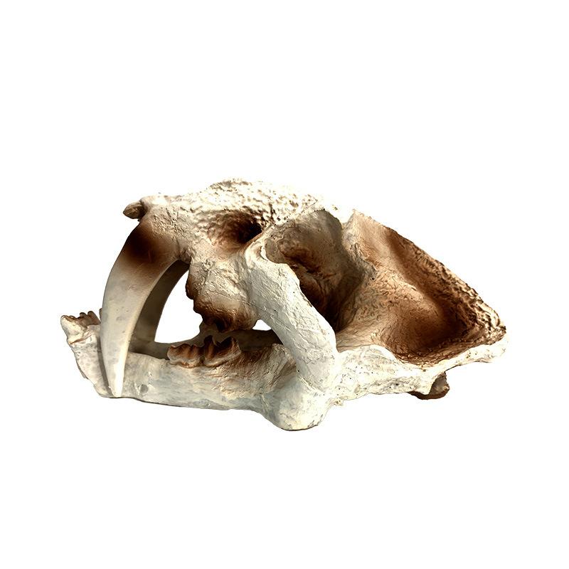 Aquarium Handicraft Hallowed Dinosaur Beach Crafts Decoration FishTank Supplies Sea Art Crafts Decorations Fish Toy