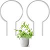 Robust Support For Plants Robust Climbing Frame Acrylic Plant Climbing Frame Artistic Touch For Plant Arrangements