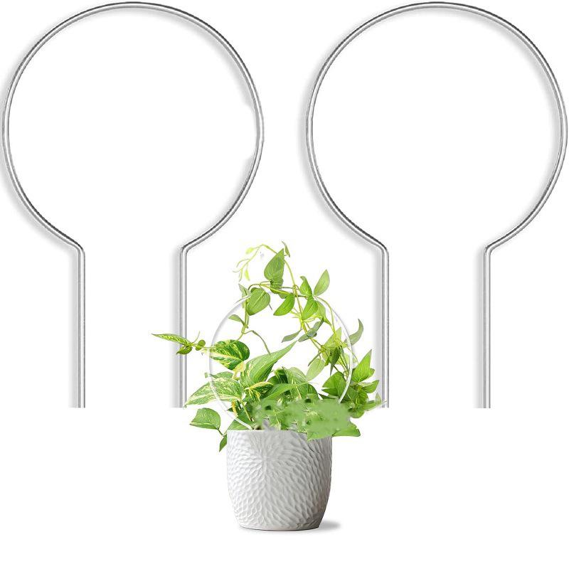 Robust Support For Plants Robust Climbing Frame Acrylic Plant Climbing Frame Artistic Touch For Plant Arrangements