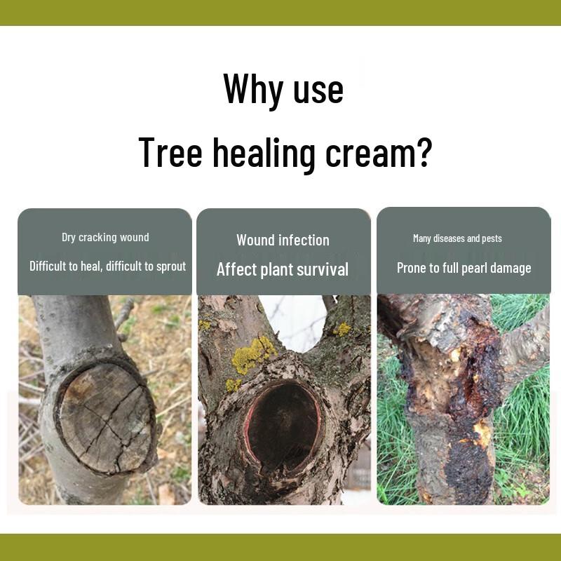 Mandulai Tree Wound Healing Paste