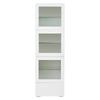 Vetrina 60*40*173cm con Porta in Acrilico, Finitura Lucida, Illuminazione LED, 3 Ripiani in Vetro, Bianco