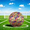 1pc Rainbow Cheetah Theme Soccer Ball Football, Size 5, Lightweight PVC, Outdoor Training Soccer Ball,Sports Gift t614100