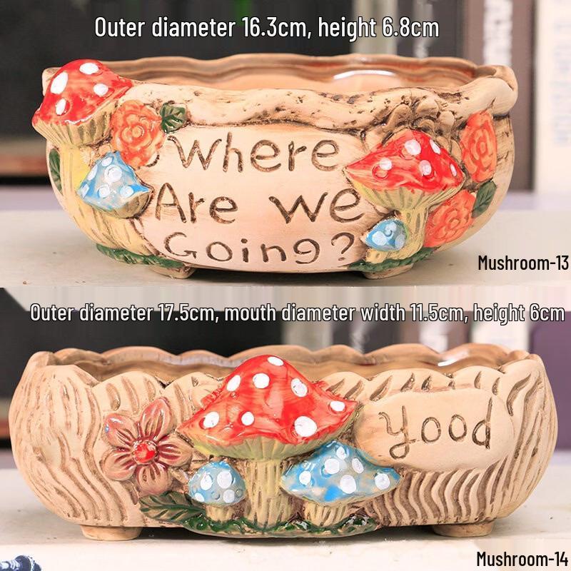 Large Ceramic Succulent Planter