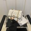 Women's Simple Fashion Chain Small Bag Women's 2025 Summer New Versatile Ins Temperament Simple Small Square Bag Women