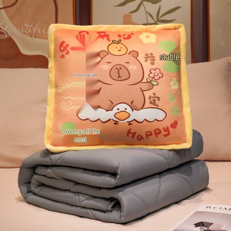 2-in-1 Convertible Pillow Blanket