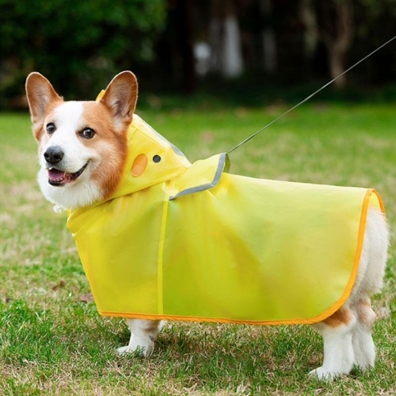 Small and Medium Dog Special Dog Raincoat Corgi Teddy Schanery Chai Dog Pet Rainy Day Clothes Waterproof Bellyband