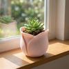 Cute Succulent Plant Basin Plastic 3D Printed Plant Pot Green Onion Pots  Garden Planting