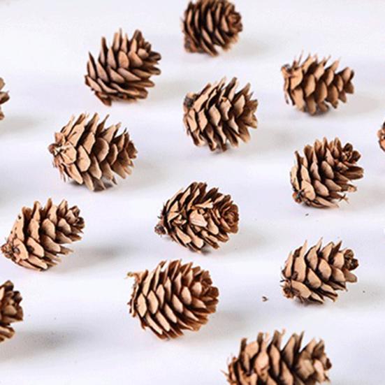 20Pcs Artificial Pine Cone Attractive for Garden Convenient Decorative DIY Simulation Pinecone Novel Vivid Natural