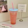 2025 Summer Recyclable Travel Mug with Straw - Large Capacity Plastic Cup