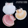 Natural shell books, handmade DIY notebooks, Instagram style, sticky notes, travel souvenirs, gift giving