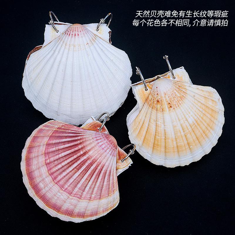 Natural shell books, handmade DIY notebooks, Instagram style, sticky notes, travel souvenirs, gift giving