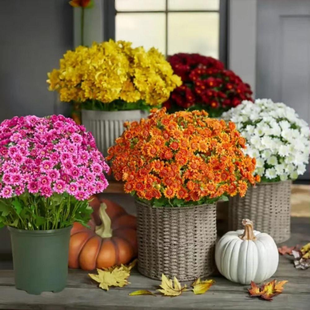 5 Bundle High Fidelity Gradient Artificial Daisy Bouquet  DIY Flower Arrangement