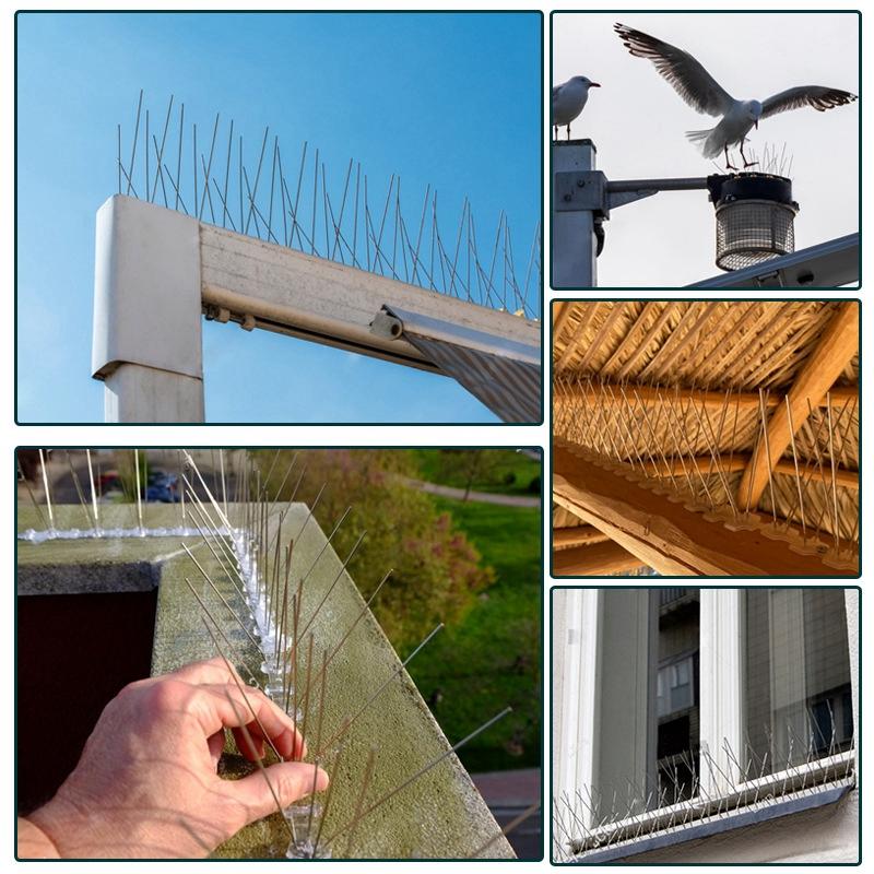 1-10Pcs Pigeon Spikes Stainless Steel Bird Spike Bird Deterrent Wire Spikes Keep Birds Away Proof Nails for Fence Roof Blacony