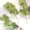 Artificial Eucalyptus Leaves Stems Real Touch Faux Greenery Branches for Vase Wedding Bouquet Flower Arrangement Home Office Spring Centerpiece