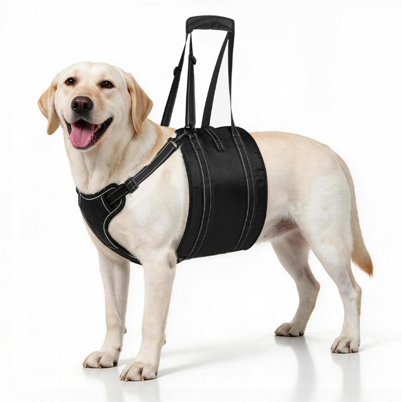 Dog Support Wrap for Senior Dogs with Sliding Fit Controls, Soft-Lined Chest Panel, and Two Handles for Guided Short Walks