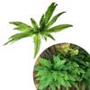 Artificial Boston For Fern 4pcs for Outdoor Fence Planters and Home Decor