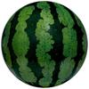 Igarashi Beach Ball 85cm Realistic Watermelon Ball, Inflated Size Approximately 60cm, BBC-185V