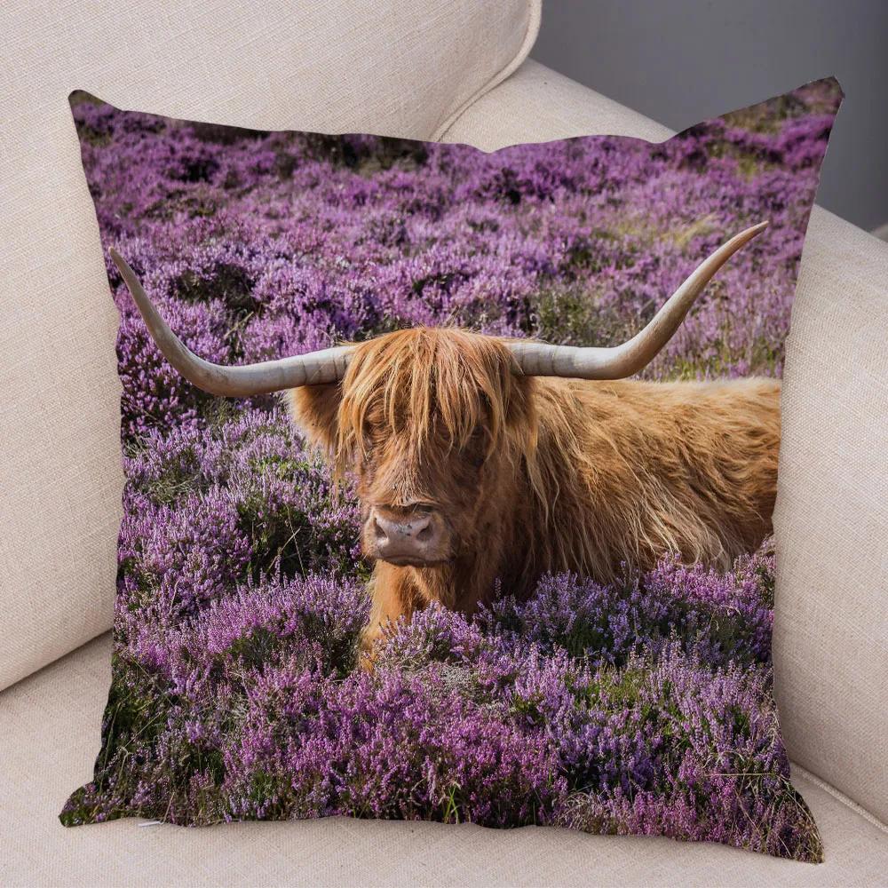 Scotland Kyloe Pillow Case Decor Wild Cow Colorful Animal Print Pillowcase Soft Short Plush Cushion Cover for Home Sofa 45x45cm