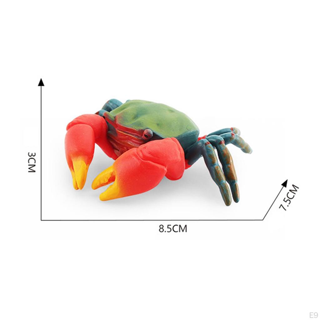 Hand Painted Mini Crab Figurines Model Realistic Detailed Action Figures for Children Kids