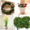 High Quality Artificial Moss Lichen Simulation Green Plants Fake Flowers Moss Micro Landscape Home Garden Decor 20g/50g/100g