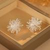 Exquisite Metal Stud Earrings Zircon Geometric Flower Earrings Fireworks Shape Earrings  Women