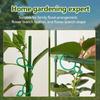 Garden Vine Strapping Clips Plant Bundled Buckle Ring Holder Tomato Garden Plant Stand Tool Gardening Supports Tools