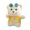 1Pc 30Cm Kawaii Teddy Bear With Clothes Glasses Plush Toys Stuffed Soft Animal Bear With Accessories Dolls Lovely Valentine Gift